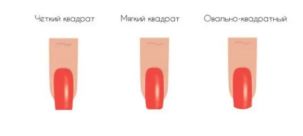 начинаещи
