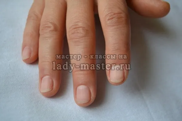 господарят