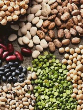 farmaviesques