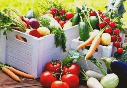 egészen megnyugtatott zsír