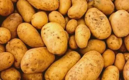dieta