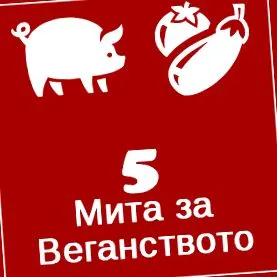vegetarianizmusról