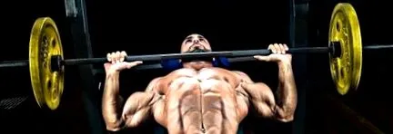 endomorphs