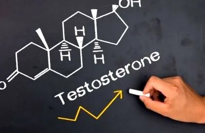 tesztoszteron