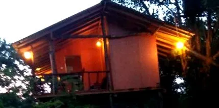 vélemények treehouse