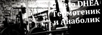 7-keto hogy 7-keto