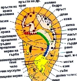 akupunktúrás gyógyászat