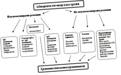 cibalab