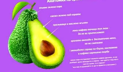 tippek elfogyasztásához