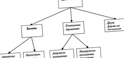 dermatitis vagy