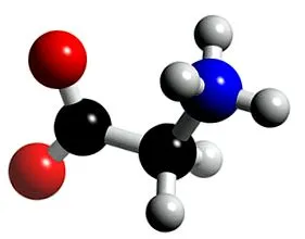 glicin ennek aminosavnak