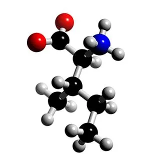 izoleucin izoleucin