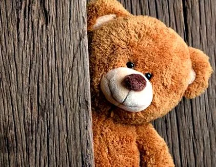 Teddy Bear plüssjáték