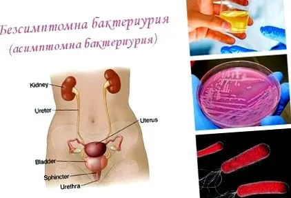 Tünetmentes bakteriuria Tünetmentes bakteriuria
