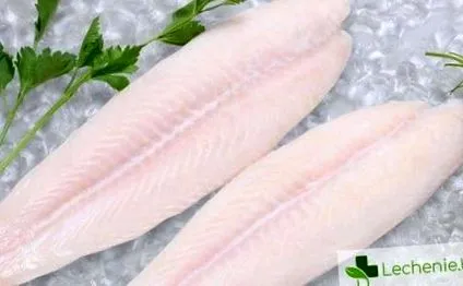pangasius hogy pangasius