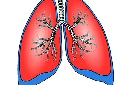 krónikus bronchitis