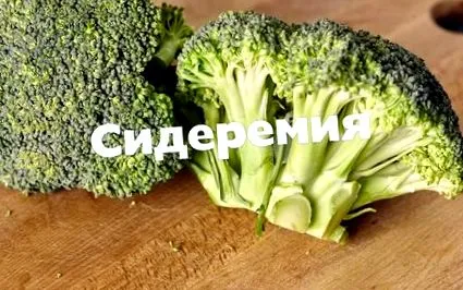 teljes mennyisége sideremia