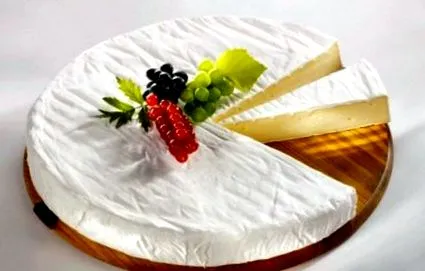 vagy camembert