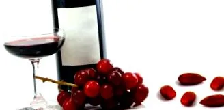ellen ellen