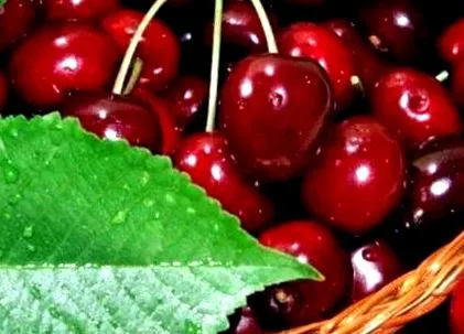 Délutáni snack cseresznye