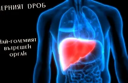 blogcikk cirrhosis