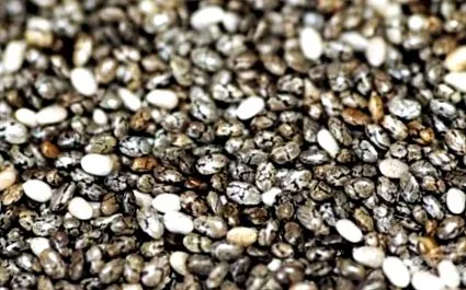 chia