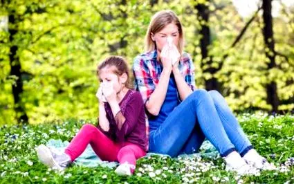 allergén allergén