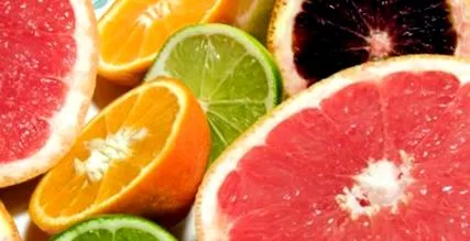 citrus citrus
