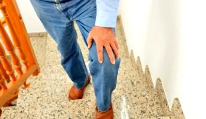 gyümölcsöt