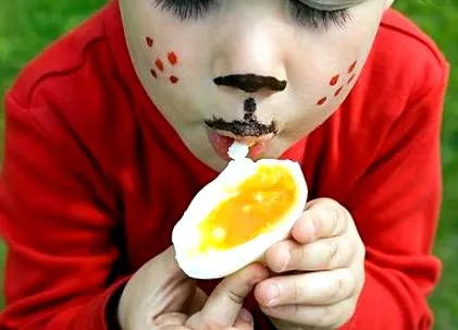 teszt teszt