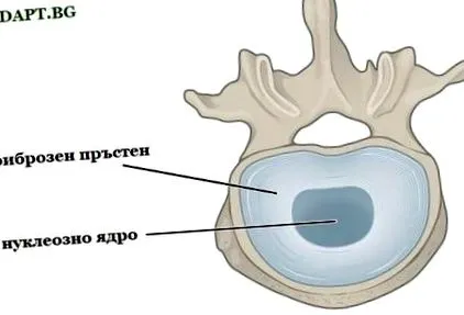 típusai disc