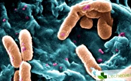 természet dysbacteriosis