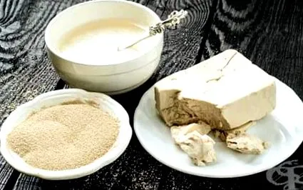 jellemző