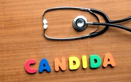 egészséges candida