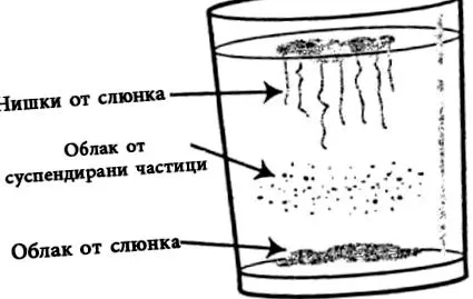 candida