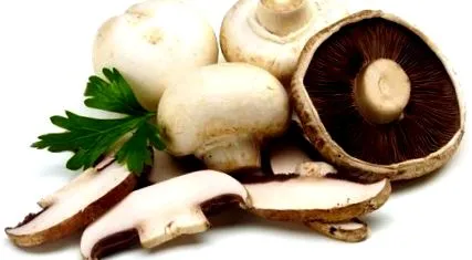 recept gombával