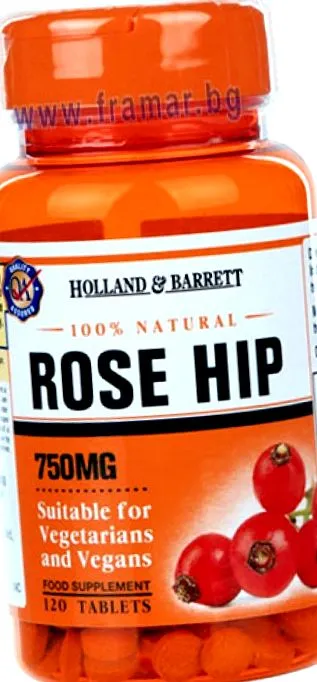 holland holland