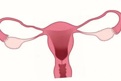 alakú nyaki alakú nyaki