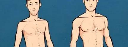 ectomorph táplálkozás