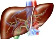 lefolyásuk hepatitis