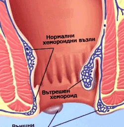 egészségközpont betegség