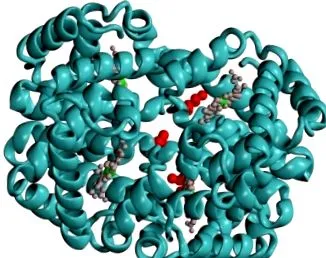 glikált hemoglobin hemoglobin
