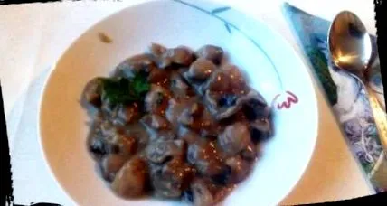 fricassee