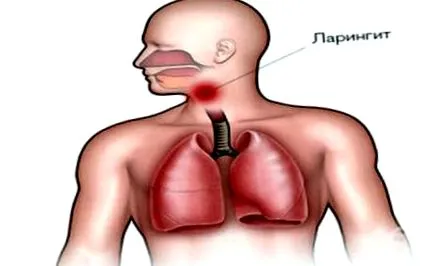 esetén Táplálkozási Táplálkozási tippek