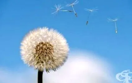 allergiás reakciókat