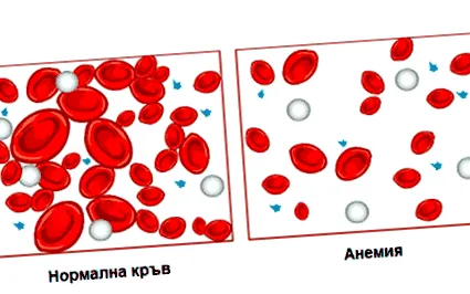Táplálkozási tippek Táplálkozási tippek