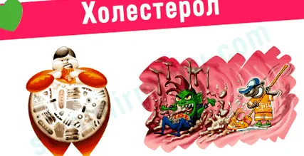 csökkenthető csökkenthető