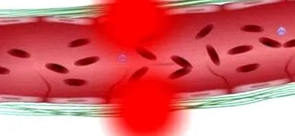 Táplálkozási tippek Táplálkozási tippek