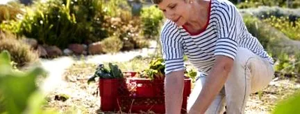 okos étrend