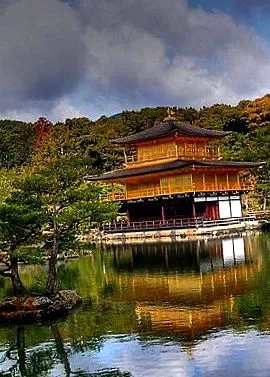 japán növényi olajjal